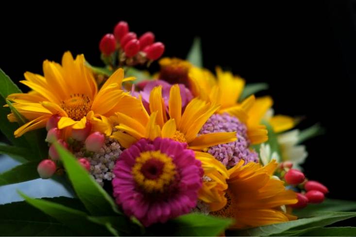 Floristry training in Australia