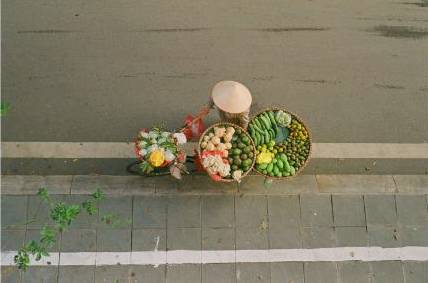 Floral design overview