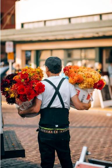 Arch floral installation