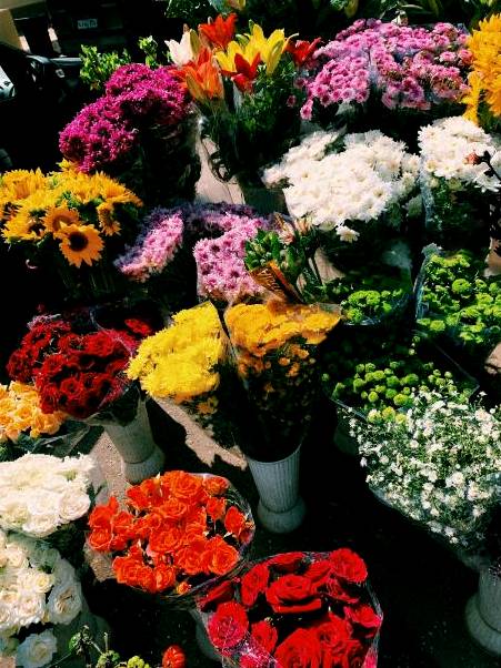 Advanced floristry composition
